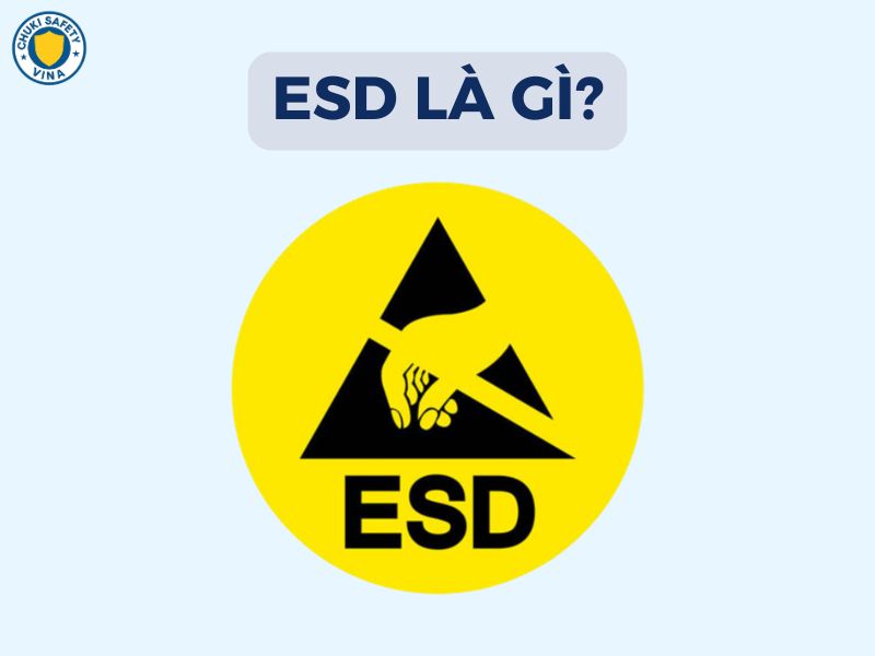 ESD là gì